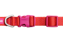 Front Range™ Flex Collar