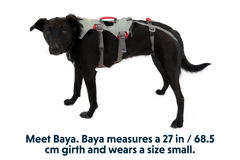 Used - Doubleback™ Full Body Dog Harness